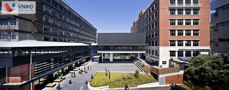 M.77King casino trực tuyến Victoria Wellington - Victoria University of Wellingto New Zealand